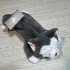 ディズニーストア　フィガロ　ペンケース
