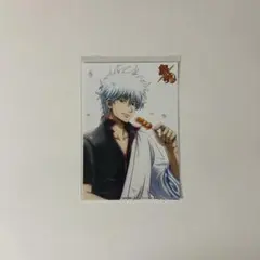 銀魂 ジャンプフェスタ2026 ブロマイド 坂田銀時