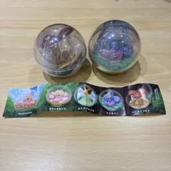 こびとづかん カプリウムコレクション【2個セット】