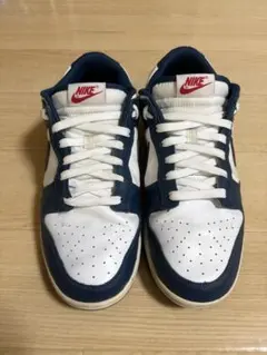 nike sb Dunk Low "blue"
