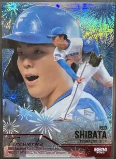 Item thumbnail for item 43bb9dfe-39c0-487e-8815-960aa92ce608