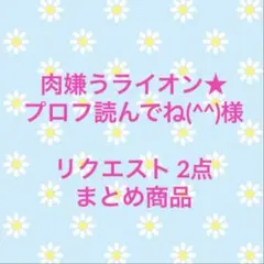 肉嫌うライオン★プロフ読んでね(^^)様 リクエスト 2点 まとめ商品