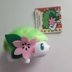Pokemon Petit シェイミ マスコット 新品タグ付 ポケットモンスター Pokemon Petit シェイミ マスコット 新品タグ付 ポケットモンスター