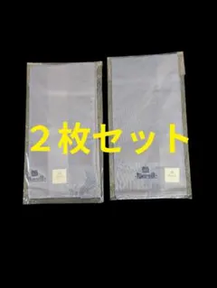 Item thumbnail for item 7a2ab095-e9c5-4efb-a049-3e2b16875aed