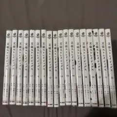文豪ストレイドッグス 1~22巻セット 全巻