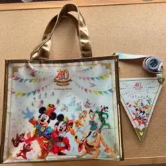 ★ディズニーランドホテル★グランドフィナーレ部屋★ルームキー＆バッグ★ ☆ディズニーランドホテル☆グランドフィナーレ部屋☆ルームキー