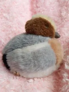 やまね工房 カモ ぬいぐるみ ヒドリガモ - メルカリ