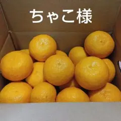 ちゃこ様　専用です