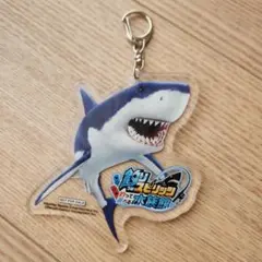 釣りスピリッツ　キーホルダー　非売品　釣って遊べる水族館
