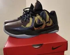 Kobe 5 Protro Year of the Mamba/Eggplant