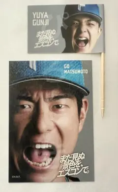 日ハム 松本剛 トレカ&郡司裕也 ミニフラッグ