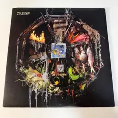 SD JUNKSTA 人間交差点 12インチ レコード アナログ盤 SD JUNKSTA 人間交差点 12インチ レコード アナログ盤 - メルカリ