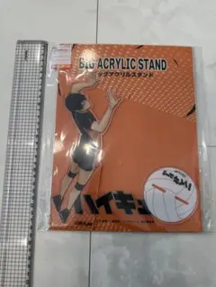 ハイキュー ビッグ　アクリルスタンド　アクスタ　影山飛雄　日向翔陽 烏野