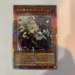 【絵違いプリシク】白の聖女エクレシア