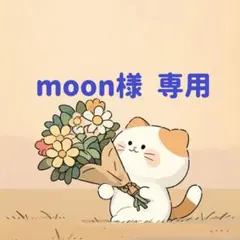 moon様　専用(11/19迄)