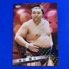 Item thumbnail for item b30d8fc4-7cd7-4a1c-a36d-4d9112b946e8