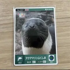アクアマリンふくしま ロゲットカード アザラシ002