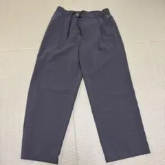 PLST プレシャスドライ　スラックス グレーのサムネイル