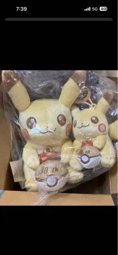 ピカチュウ 30周年 ぬいぐるみ キャラクターグッズ