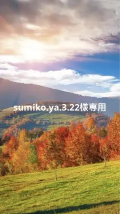 100 レジン　シャカシャカキーホルダー　シェイカー 夢かわ　サーカス