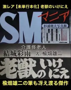 絶版】マニア93年10月～95年1月連載 甘美なる屈従 ②結城彩雨(楡畑雄二 