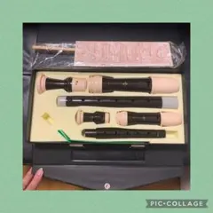 Item thumbnail for item 8f882d4a-832b-44a0-84c8-40be03564ce6