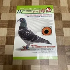 放鳩籠　コンテナ　レース鳩　移送　搬送　輸送　愛鳩の友　コンテナー　キャディーB 放鳩籠 コンテナ レース鳩 移送 搬送 輸送 愛鳩の友 コンテナー
