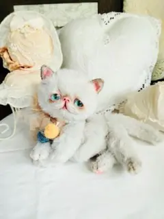 家族募集❤まん丸可愛い子猫ちゃん♡アートドール♡ぬいぐるみ♡