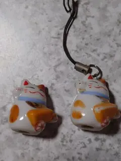 2026年最新】猫舎道楽堂本舗の人気アイテム - メルカリ