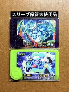 ポケモンフレンダ5弾　未使用　テラパゴス　パゴゴ/リコ　スーパートレジャー　ST