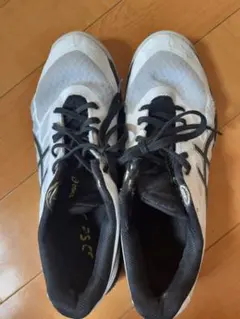 2026年最新】アシックス バレーボールシューズ GEL-TACTICの人気