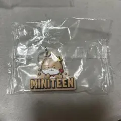 MINITEEN ぷっくりめじるしアクセサリー ディノ　チャンダリ