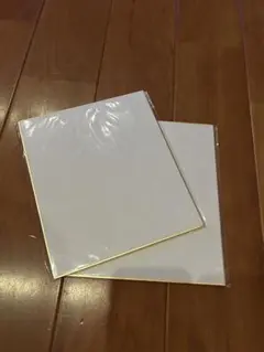 色紙 2枚セット 金縁 寄せ書き 画材