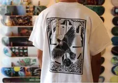 JOBLESS Pinhu Tee White