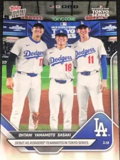 えのしま様 リクエスト 8点 まとめ商品