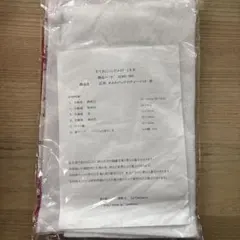 Item thumbnail for item cb136b4c-0cf2-4b96-9c9c-4ddd057edbd4