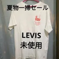夏物格安!!LEVISユニセックスTシャツ メンズLサイズ程度