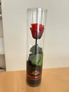 Item thumbnail for item 2c045622-cc22-48ac-9abb-12b86ff644b9