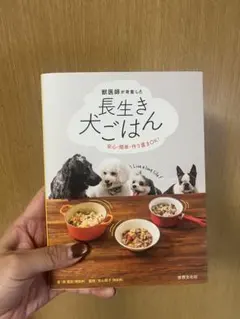 Item thumbnail for item 8f69521c-8976-489a-9943-7b38490691a4