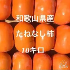 和歌山県産 10kg 平核無柿（たねなし柿）ご家庭用