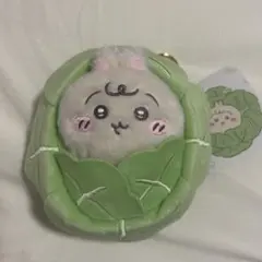 Chiikawa Baby キャベツに包まれたうさぎマスコット