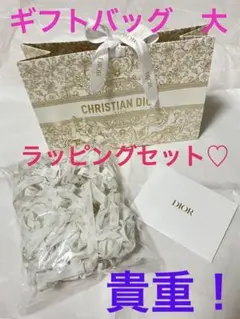 貴重　ディオール　チュイルリー限定　ラッピング　ギフトバッグ　プレゼント　大