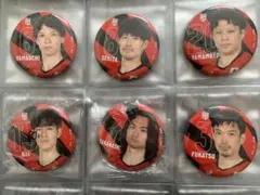 男子バレーボール 日本代表 缶バッジ ガチャ