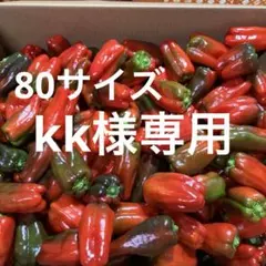 kk様専用 ほとんど赤のピーマン