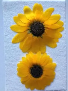 mnm様 リクエスト 2点 まとめ商品