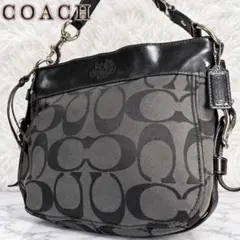 coach hobo zoe one shoulder bag