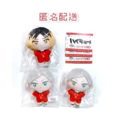 【匿名配送】ハイキュー かぷっこふれんず研磨 リエーフ 3点セット