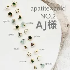 AJ様　耳ツボジュエリー　おまとめ買い2点