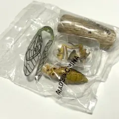 2025年最新】週刊日本の天然記念物の人気アイテム - メルカリ