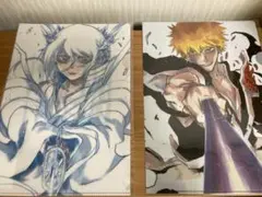 BLEACH EX. 黒崎一護 朽木ルキア オリジナルクリアファイル